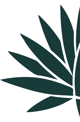 Tequila Matices - Hills